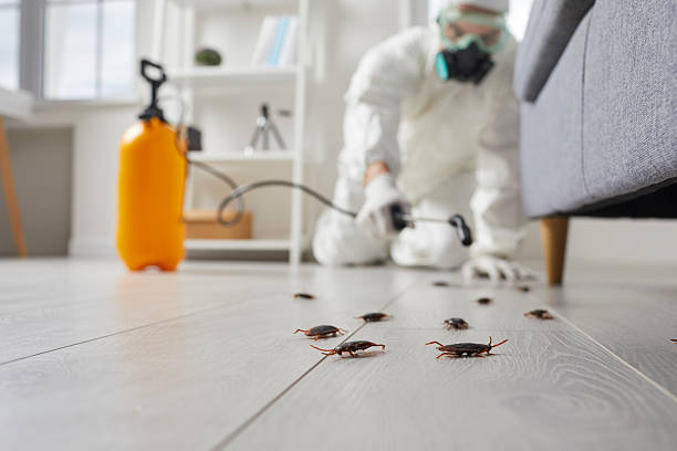 Commercial Kitchen Cockroach Control in Muskegon